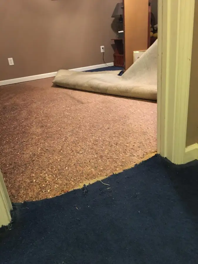 Carpet pad removal revealing water damage during Water Mitigation Services in Maywood